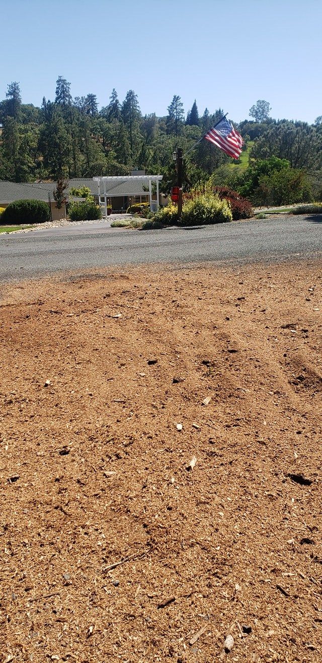Same roadside site after the stump was ground out and the chips were raked level