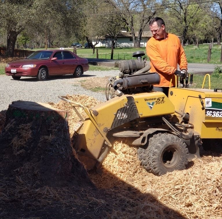 Professional stump grinding equipment in action